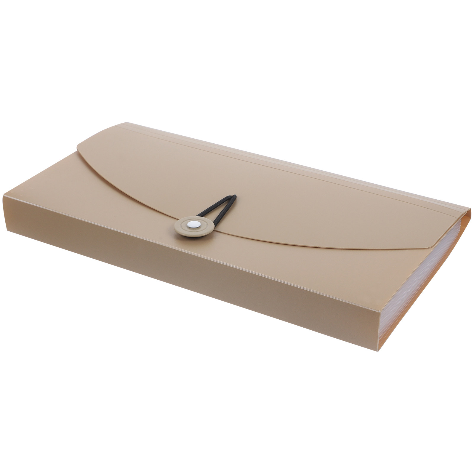 13-Pocket Expanding File Folde - Expandable Accordion File Folder 13 Pockets 评论和价格